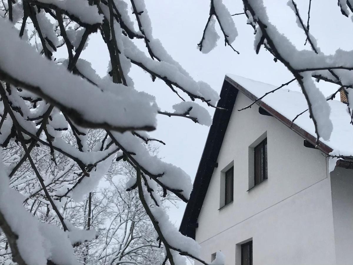 Apartmán Ivko Letohrad Esterno foto
