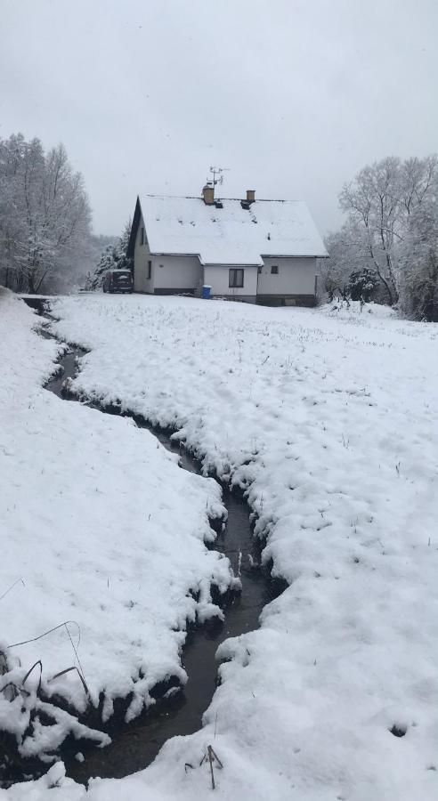 Apartmán Ivko Letohrad Esterno foto