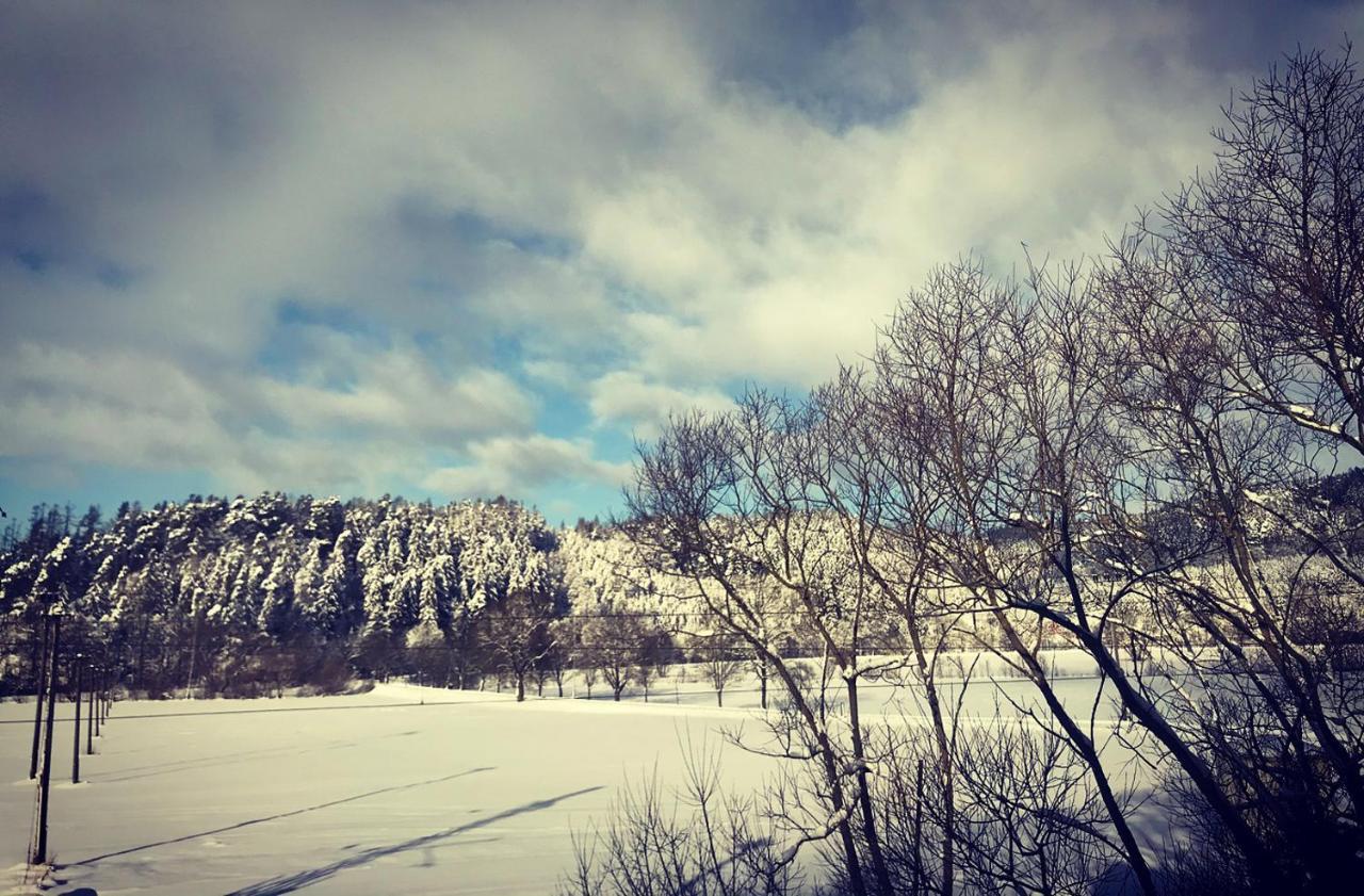 Apartmán Ivko Letohrad Esterno foto
